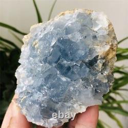 1.2LBNatural Blue Celestite Quartz Crystal Cluster Raw Mineral Specimens Healing