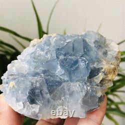 1.2LBNatural Blue Celestite Quartz Crystal Cluster Raw Mineral Specimens Healing