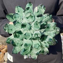 10.3LB New Find Green Phantom Quartz Crystal Cluster Mineral Specimen Healing