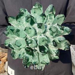 10.3LB New Find Green Phantom Quartz Crystal Cluster Mineral Specimen Healing
