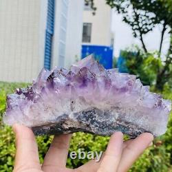 1040g Natural Stone Deep Amethyst Quartz Crystal Cluster Specimen Therapy Crysta