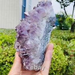 1040g Natural Stone Deep Amethyst Quartz Crystal Cluster Specimen Therapy Crysta