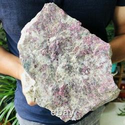 11.8lb Natural plum blossom tourmaline Quartz Crystal Raw Rough Mineral Specimen