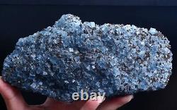 1688g New Find Transparent Blue Cube Fluorite Crystal Cluster Mineral Specimen