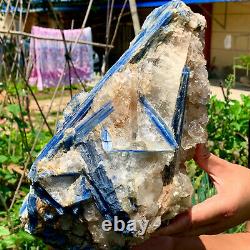 17.77LB Rare! Natural beautiful Blue KYANITE with Quartz Crystal Specimen Rough