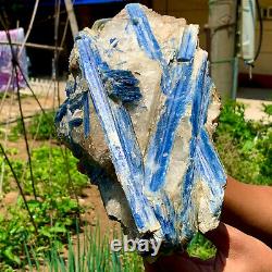 17.77LB Rare! Natural beautiful Blue KYANITE with Quartz Crystal Specimen Rough