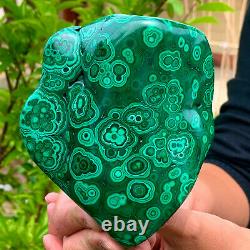 2.21LB Natural Beauty Shiny Green BrightMalachite Fibre Crystal From China