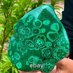 2.21LB Natural Beauty Shiny Green BrightMalachite Fibre Crystal From China