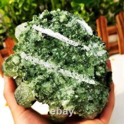 2.92LB New Find Green Phantom Quartz Crystal Cluster Mineral Specimen Healing