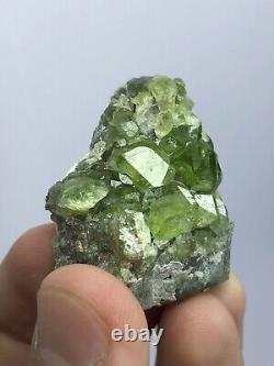 295 Gram Peridot Crystal Specimen 13 Pcs lot from Supat Valley Pakistan