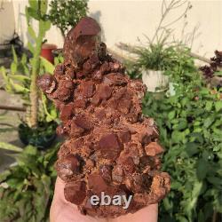 3.4lb Rare Natural Red Ghost Quartz Crystal Cluster Raw Rough Mineral Specimens