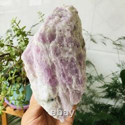 3.9lb Natural Kunzite Quartz Crystal Raw Stone Rough Mineral Specimens