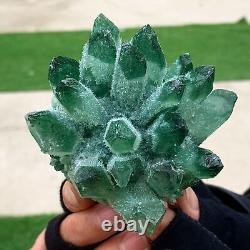 320G New Find green PhantomQuartz Crystal Cluster MineralSpecimen