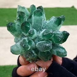 320G New Find green PhantomQuartz Crystal Cluster MineralSpecimen