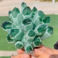 379G Newly discovered green phantom quartz crystal cluster minerals