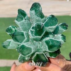 379G Newly discovered green phantom quartz crystal cluster minerals