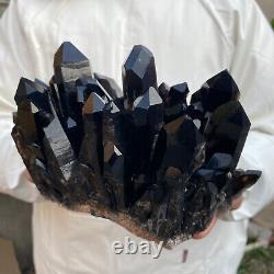 4.2lb Large Natural Black Smoky Quartz Crystal Cluster Raw Mineral Specimen