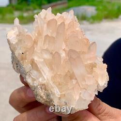 406G Clear Natural Beautiful White QUARTZ Crystal Cluster Specimen