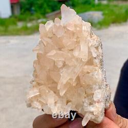 406G Clear Natural Beautiful White QUARTZ Crystal Cluster Specimen