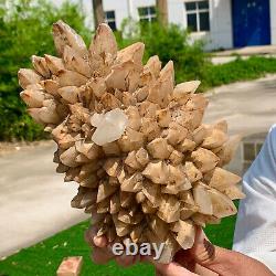 5.1BL Natural Milky Grey WhiteSprouting Quartz Cluster From InnerMongolia China