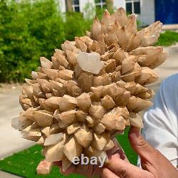 5.1BL Natural Milky Grey WhiteSprouting Quartz Cluster From InnerMongolia China