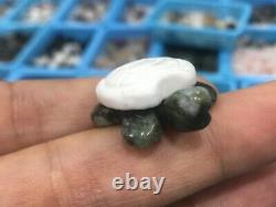 50pc Natural mix Quartz hand Carved Mini Sea turtle crystal Reiki healing