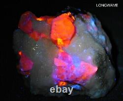 630 Gr Fluorescent Sharp Tenebrescent Hackmanite Crystals On Matrix @Afg