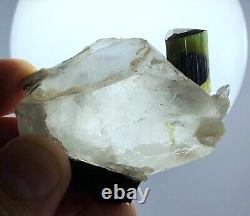 64 Gram Green Cap Tourmaline Terminated Crystal combine with Quartz Specimen Pak