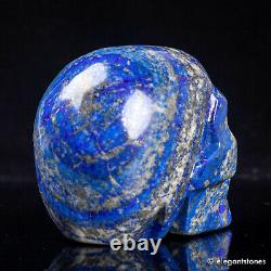 878g Natural Blue Lapis Lazuli Crystal Skull Carved Healing Chakra Decor