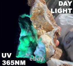 Break Your Own Geodes by LB UV Flourescent Unopened Mexico Agate Quartz