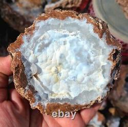 Break Your Own Geodes by LB UV Flourescent Unopened Mexico Agate Quartz