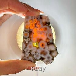 Collection! Amazing Orbicular Ocean Jasper Agate Druzy Slab Reiki Stone Gift 03