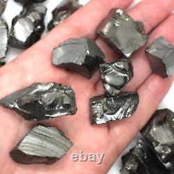 Elite Shungite Stones EMF Protection Noble Natural Detox 2-3 cm 5-15 gr KARELIA