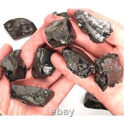 Elite Shungite stones Crystals 200-400 grams 15-20 gr Detox from Karelia Russia