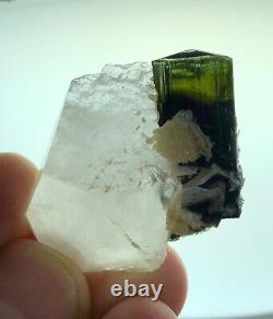 Green Cap Tourmaline with Albite & Quartz Collection Grade Crystal Specimen 17g