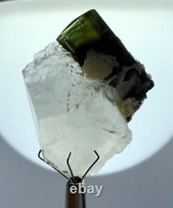 Green Cap Tourmaline with Albite & Quartz Collection Grade Crystal Specimen 17g