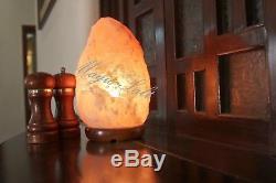 Himalayan Salt Lamp Crystal Pink Salt Lamp Healing Ionizing Lamps Best Quality