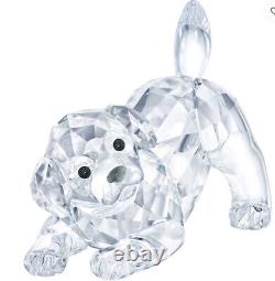 NIB Authentic Swarovski Labrador Puppy Playing Crystal Clear Figurine #5408608