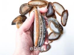 Natural Agate Slices 2.5-3.75 Long, Bulk Placecards Place Cards Geode Wholesal