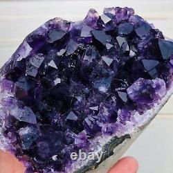 Natural Boutique Uruguay Amethyst Quartz Crystal Cluster Specimen Healing