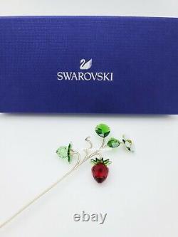 New 100% SWAROVSKI Crystal Garden Tales Wild Strawberry Display Deco 5619232