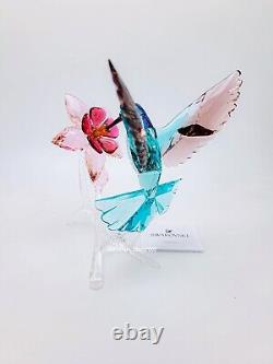 New 100% SWAROVSKI Crystal Paradise Hummingbird Figurine Deco Display 5461872