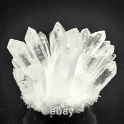 New Find White Clear Quartz Crystal Cluster Mineral Specimen Healing