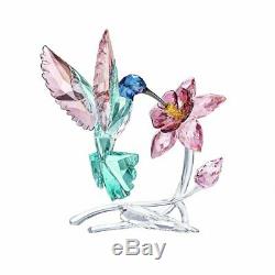 New Swarovski Crystal Hummingbird Figurine #5461872 Brand Nib Bird Save$$ F/sh