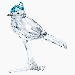 Swarovski Crystal Blue Jay Figurine #5470647 Brand Nib Bird Cute Save$$ F/sh