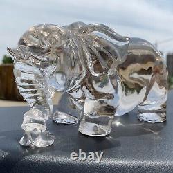 Top! Natural Clear Crystal Elephant Skull Quartz Crystal Carved Reiki Decoration