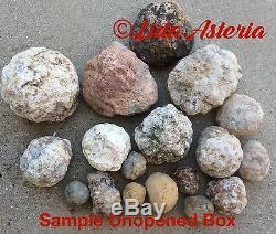 Unopened Geodes Mixed Variety Large Box Whole Natural Quartz Kentucky Crystal