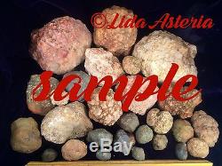Unopened Geodes Mixed Variety Large Box Whole Natural Quartz Kentucky Crystal